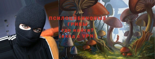 гидра Белокуриха