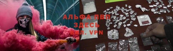 ПСИЛОЦИБИНОВЫЕ ГРИБЫ Белоозёрский