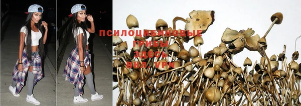 бутират Беломорск