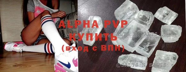гидра Белокуриха